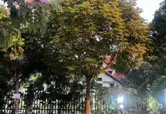 Biệt thự sân vườn xanh mát giữa lòng Hưng Đạo... Bán nhà mặt phố tại Hưng Đạo, Hải Phòng 11