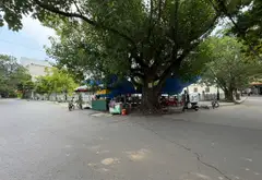 Bán lô đất góc 55m2 tại Phù Khê Thượng, Từ Sơn, Bắc Ninh... Bán đất tại Phù Khê, Bắc Ninh 02
