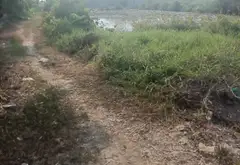 Bán đất trồng cây 6600m2 mặt tiền bờ kênh, giá tốt tại tỉnh lộ 15... Bán đất tại Hóc Môn, Hồ Chí Minh 04