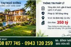 QUỸ ĐẤT VEN SÔNG SG GẦN 8HA BÌNH MỸ – CHO NHÀ ĐẦU TƯ DỰ ÁN CHỈ 350 TỶ... Bán đất tại Bình Mỹ, Hồ Chí Minh 02