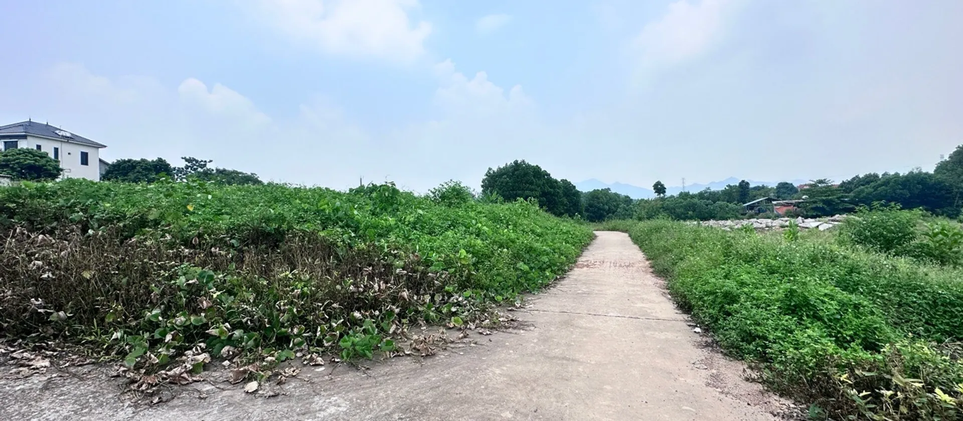 Bán đất phân lô xã Trung Giã, Sóc Sơn, ô tô lưu thông, giá đầu tư... Bán đất tại Trung Giã, Hà Nội 01