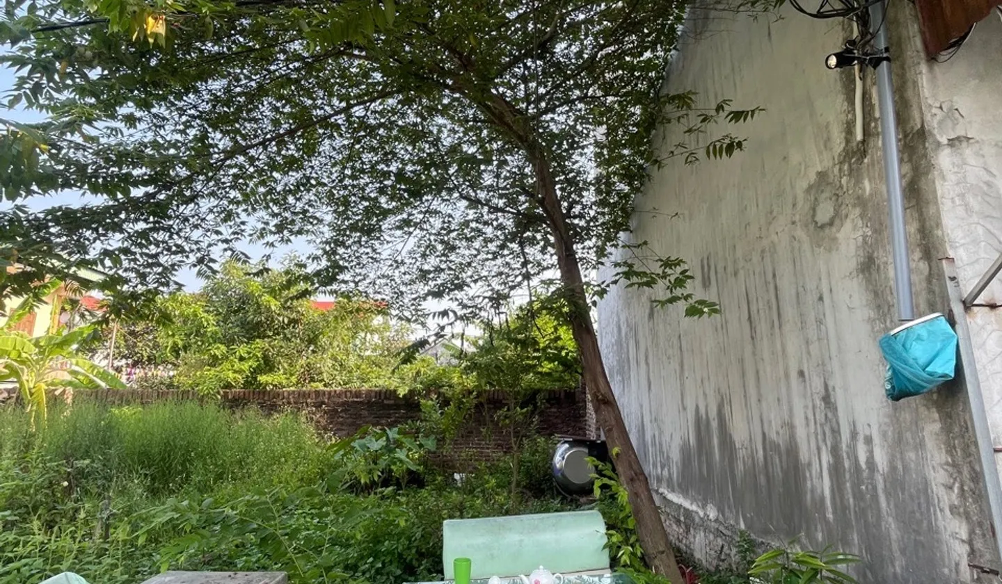 Bán đất 40m2 hướng Bắc tại Xuân Nộn, khu vực phát triển... Bán đất tại Thư Lâm, Hà Nội 01