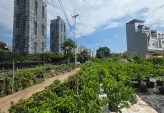 Lô góc 3 mặt thoáng view Landmark Ecopark tại Phụng Công... Bán đất tại Phụng Công, Hưng Yên 05