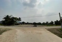 Bán đất mặt tiền đê bao xã Bình Chánh, TP Hồ Chí Minh, diện tích 3000 m2... Bán đất tại Bình Chánh, Hồ Chí Minh 03