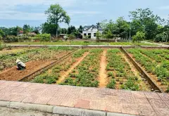 Đất ĐẸP - Ô TÔ TRÁNH - MÀ GIÁ CHỈ HƠN 1 TỶ - BẮC SƠN - TRUNG GIÃ - SÓC SƠN - QUÁ NGON... Bán đất tại Trung Giã, Hà Nội 04