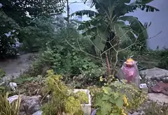 Lô đất vàng tại Thôn 2, Thiên Hương, Thủy Nguyên - Vị trí đỉnh cao, cơ hội cực hiếm... Bán đất tại Thủy Nguyên, Hải Phòng 03