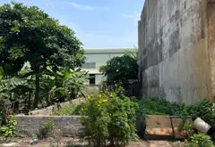 Dien tích 55m chương dương ôtô đỗ cửa tiện ích gần trường chợ... Bán đất tại Hồng Vân, Hà Nội 05