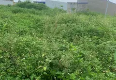 Cơ hội sở hữu đất nền diện tích hợp lý hướng Đông Nam tại Thủy Sơn, Thủy Nguyên... Bán đất tại Thủy Nguyên, Hải Phòng 03