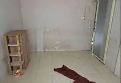 Nhà 37m2 2 tầng giá đỉnh phố Hoàng Văn Thụ... Bán nhà riêng tại Tân Sơn Hòa, Hồ Chí Minh 13