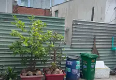 Bán nhà cấp 4, diện tích 75m2 tại Bình Tân, giá 4.6 tỷ... Bán nhà riêng tại Bình Hưng Hòa, Hồ Chí Minh 03
