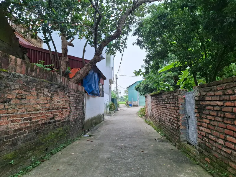 BÁN ĐẤT NỘI BÀI - SÓC SƠN... Bán đất tại Nội Bài, Hà Nội 01