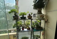 Bán nhà riêng 3 tầng gần mặt tiền Phạm Văn Đồng, diện tích 54m2... Bán nhà riêng tại Bình Lợi Trung, Hồ Chí Minh 16