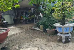 Bán 4000m nhà vườn mặt tiền Võ Thị Hồi, Hóc Môn... Bán nhà mặt phố tại Xuân Thới Sơn, Hồ Chí Minh 03