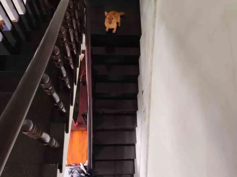 TRỆT MỘT LẦU, VÀI BƯỚC CHÂN ĐẾN CHỢ VÀ UB XÃ XUÂN THỚI THƯỢNG... Bán nhà riêng tại Bà Điểm, Hồ Chí Minh 01