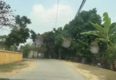 ĐẤT ĐẸP - BÌA LÀNG Ô TÔ TRÁNH, PHÙ LINH - SÓC SƠN -DIỆN TÍCH RỘNG... Bán đất tại Sóc Sơn, Hà Nội 04