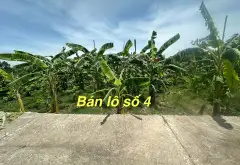 Chớp ngay lô đất tiềm năng tại Sóc Sơn!... Bán đất tại Sóc Sơn, Hà Nội 08