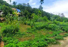 Lô đất hướng Tây Nam tại Thủy Nguyên, tiềm năng phát triển sinh lời cao... Bán đất tại Việt Khê, Hải Phòng 02