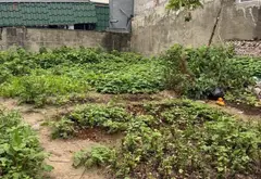 Đất đẹp 90m² mặt đường KDC An Trang - Vị trí siêu tiện lợi... Bán đất tại An Hải, Hải Phòng 01