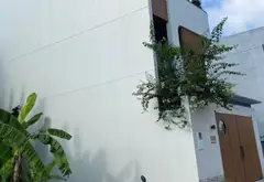 Bán đất 81m² mặt tiền 6m hẻm xe tải phường Long Bình, Quận 9, TPHCM... Bán đất tại Long Bình, Hồ Chí Minh 01