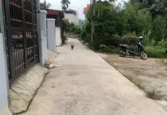 🏡 ĐẤT ĐẸP ĐẠI YÊN – HẠ LONG | QUỸ ĐẤT RỘNG – TIỀM NĂNG ĐÓN ĐẦU HẠ TẦNG... Bán đất tại Tuần Châu, Quảng Ninh 04