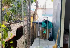 GIẢM CÒN 2,75 TỶ – NHÀ HXH 65M² NGAY TÔ KÝ... Bán nhà riêng tại Đông Thạnh, Hồ Chí Minh 11