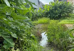 Lô đất vàng 51m² gần chợ và khu công nghiệp Nam Cầu Kiền... Bán đất tại An Dương, Hải Phòng 04