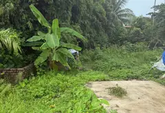 Đất nền trung tâm tổ dân phố Kiều Hạ 2, Phường An Dương, Hải Phòng... Bán đất tại An Dương, Hải Phòng 03