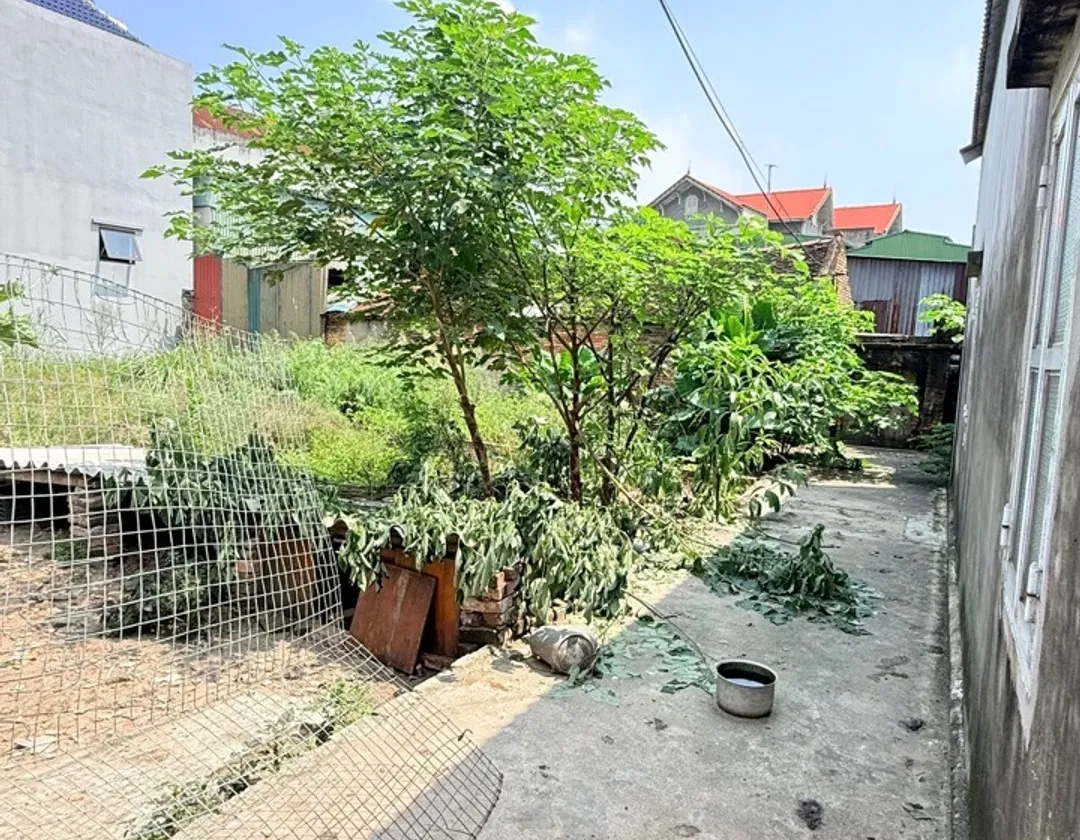 Mảnh đất đẹp trung tâm phường Từ Sơn, Bắc Ninh giá ưu đãi... Bán đất tại Từ Sơn, Bắc Ninh 01
