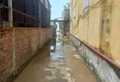 Đất nền tiềm năng sát sân vận động huyện An Lão, khu dân trí cao... Bán đất tại An Lão, Hải Phòng 04