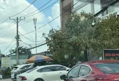 Bán nhà mặt tiền xã Xuân Thới Đông, Hóc Môn, diện tích lớn 365m2, pháp lý đầy đủ... Bán nhà mặt phố tại Xuân Thới Sơn, Hồ Chí Minh 03