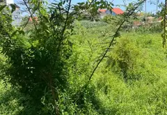 Bán đất mặt tiền đường Cửa Đại, Hội An, diện tích 1957m2, view sông, pháp lý cơ sở... Bán đất tại Hội An, Đà Nẵng 04