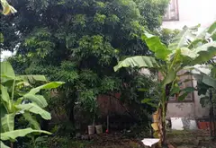 ĐẤT THỔ CƯ 45m 2,5 tỷ... Bán đất tại Phúc Thịnh, Hà Nội 03