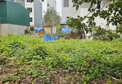 Cơ hội vàng sở hữu đất vị trí đắc địa tại Phương Nhị, Liên Ninh... Bán đất tại Ngọc Hồi, Hà Nội 03