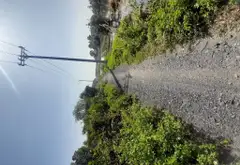 Bán nhà riêng diện tích lớn tại xã Xuân Thới Sơn, Hóc Môn... Bán nhà riêng tại Xuân Thới Sơn, Hồ Chí Minh 03