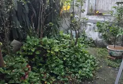 Nhà góc 2 mặt tiền giữa lòng Quận 11, cơ hội hiếm có... Bán nhà mặt phố tại Phú Thọ, Hồ Chí Minh 12