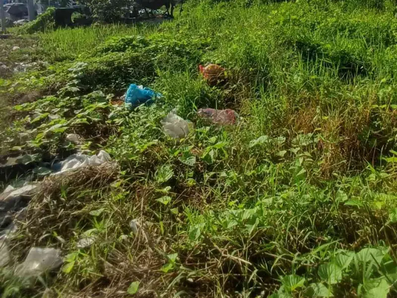 Bán đất tại xã Bình Lợi,trần văn giàu mặt tiền rộng 10m dài 20m , pháp lý rõ ràng... Bán đất tại Bình Lợi, Hồ Chí Minh 01
