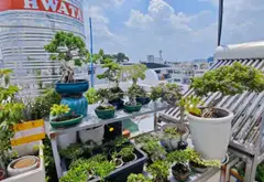 NHÀ 5 TẦNG 65M2 KHU ĐỒNG BỘ - PHƯỜNG AN NHƠN - THANG MÁY VIVU - 13TY TL... Bán nhà riêng tại An Nhơn, Hồ Chí Minh 13
