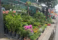 Giảm ngay 1 tỷ - Đất mặt tiền ngay Bệnh viện Bình Tân, cơ hội đầu tư vàng... Bán đất tại Bình Trị Đông, Hồ Chí Minh 05