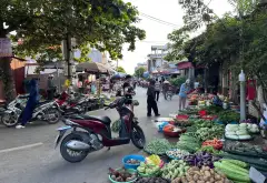 Đất nền diện tích vừa phải, vị trí đắc địa gần chợ và trường học tại Lương Quán... Bán đất tại An Dương, Hải Phòng 03