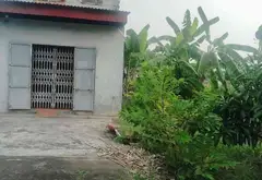 Bán đất phân lô hướng Đông Nam tại Thị trấn Lưu Kiếm, Thủy Nguyên, Hải Phòng... Bán đất tại Lưu Kiếm, Hải Phòng 05