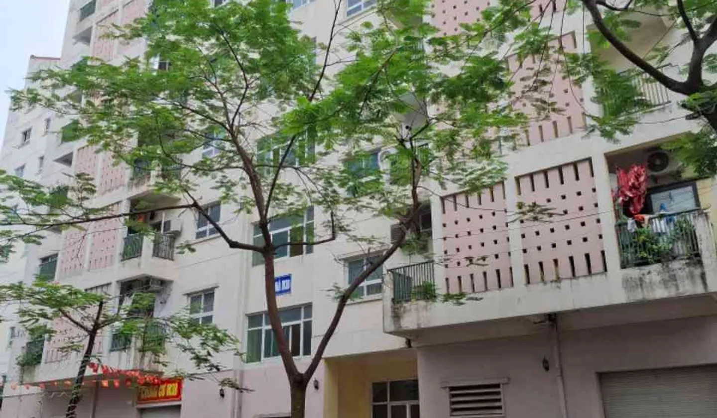 Cơ Hội Vàng Sở Hữu Đất Đẹp TĐC Cái Hòm - Vị Trí Vàng Đông Khê... Bán đất tại Gia Viên, Hải Phòng 01