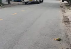 Nhà mặt phố 3 tầng rộng rãi, xe Công quay lại Ngày đêm, Thới An, Quận. Chỉ 6.7 tỷ... Bán nhà mặt phố tại Thới An, Hồ Chí Minh 07