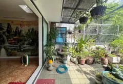 Nhà Mặt Phố Lê Trọng Tấn – Vàng Cho Kinh Doanh & An Cư... Bán nhà mặt phố tại Tân Sơn Nhì, Hồ Chí Minh 14