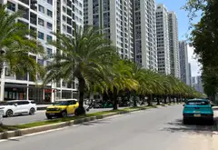Siêu phẩm đất đường 8m trải nhựa đối diện Vinhomes, giá cực tốt... Bán đất tại Long Bình, Hồ Chí Minh 03