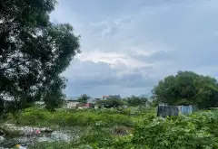 Đất mặt tiền Thanh Xuân Long Hải giá trị vàng - chỉ cách biển 80m, cơ hội không thể bỏ lỡ... Bán đất tại Long Hải, Hồ Chí Minh 04