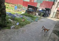 Mảnh Đất đẹp -4 Chỗ Vào Đất... Bán đất tại Yên Phong, Bắc Ninh 11
