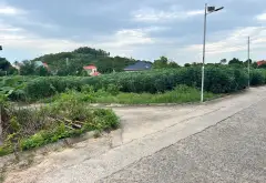 Bán đát thất gian khuyên mại vườn sắn... Bán đất tại Quế Võ, Bắc Ninh 02