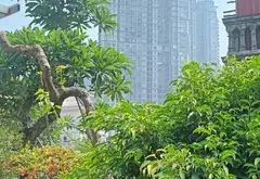 💐Bán Đất Tặng Nhà 2 Tầng Sát KĐT Ecopark 115m2 - MT 4.8m - Ngõ Ô Tô Tải Thông - Nhỉnh 6 Tỷ 💐... Bán nhà riêng tại Phụng Công, Hưng Yên 03