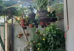 Nhà 2 Tầng Siêu Thoáng Gần Biển Sơn Trà... Bán nhà riêng tại Sơn Trà, Đà Nẵng 09
