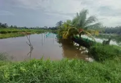 Trương Văn Đa,Đường Đá Xanh Xe Ba Gác Tới Đất
BÁN 1 CÔNG ĐẤT LUK GIÁ 3 TỶ... Bán đất tại Bình Lợi, Hồ Chí Minh 06